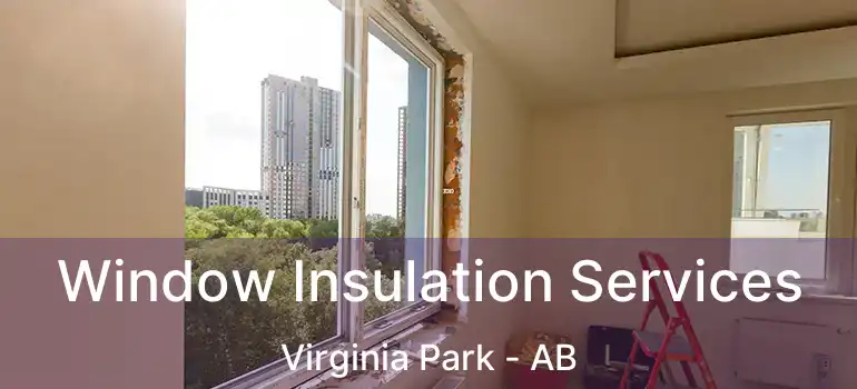  Window Insulation Services Virginia Park - AB