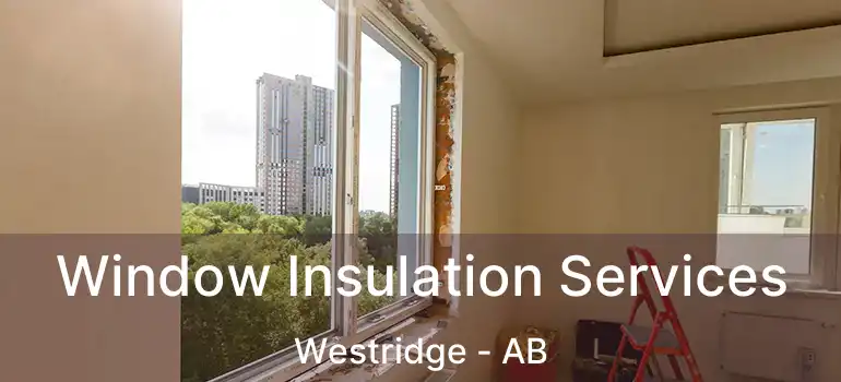 Window Insulation Services Westridge - AB