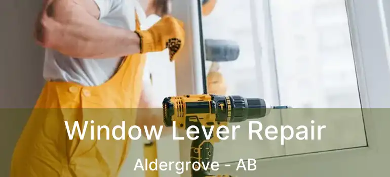  Window Lever Repair Aldergrove - AB