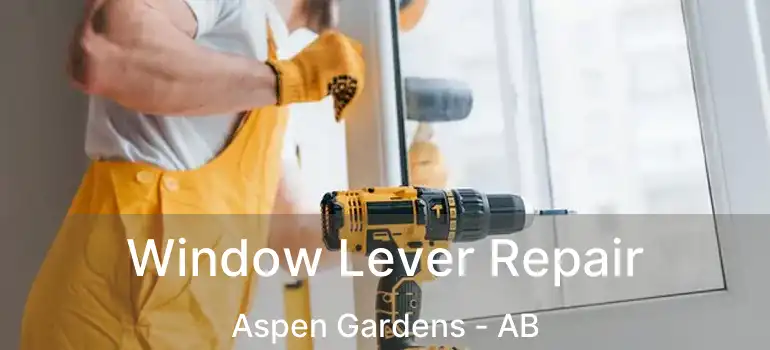  Window Lever Repair Aspen Gardens - AB