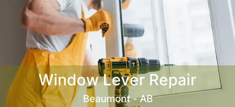  Window Lever Repair Beaumont - AB