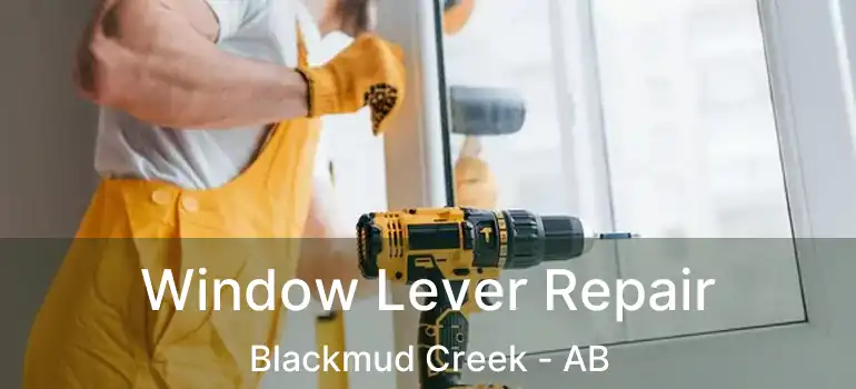  Window Lever Repair Blackmud Creek - AB