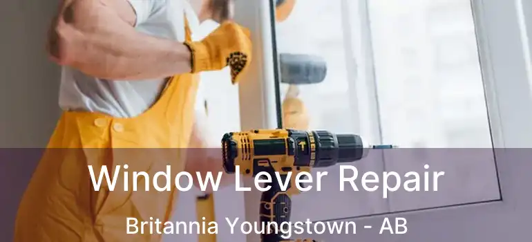  Window Lever Repair Britannia Youngstown - AB