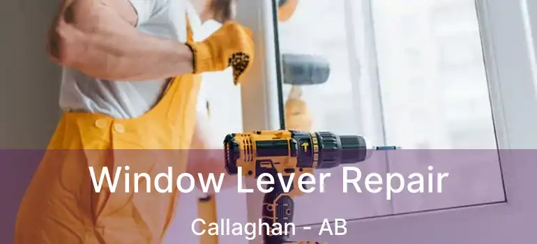  Window Lever Repair Callaghan - AB