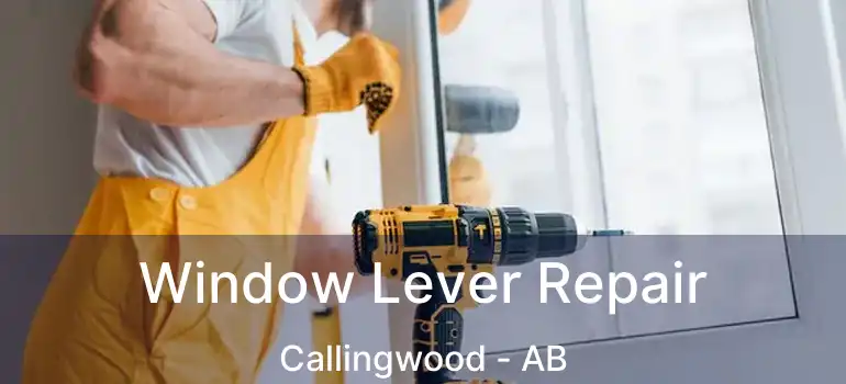 Window Lever Repair Callingwood - AB