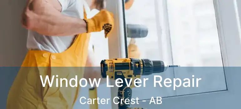  Window Lever Repair Carter Crest - AB
