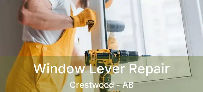  Window Lever Repair Crestwood - AB