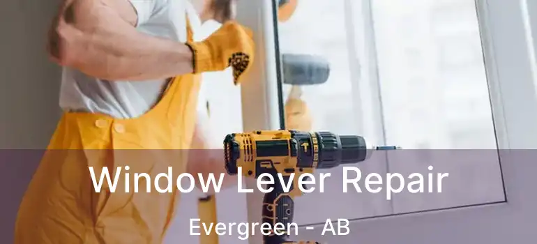  Window Lever Repair Evergreen - AB