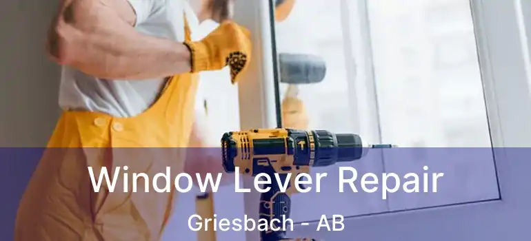  Window Lever Repair Griesbach - AB