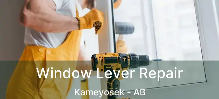  Window Lever Repair Kameyosek - AB