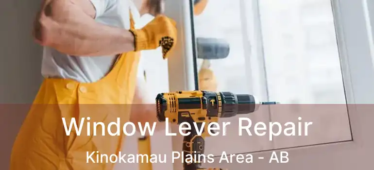  Window Lever Repair Kinokamau Plains Area - AB