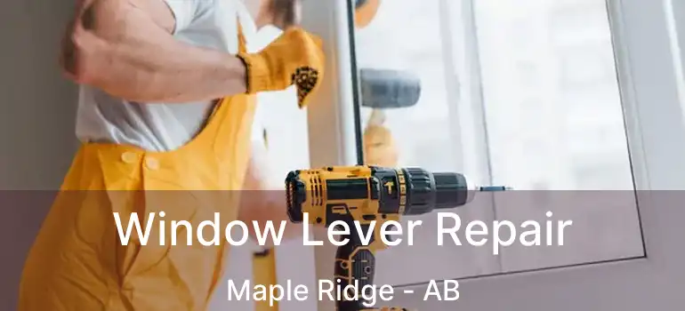  Window Lever Repair Maple Ridge - AB