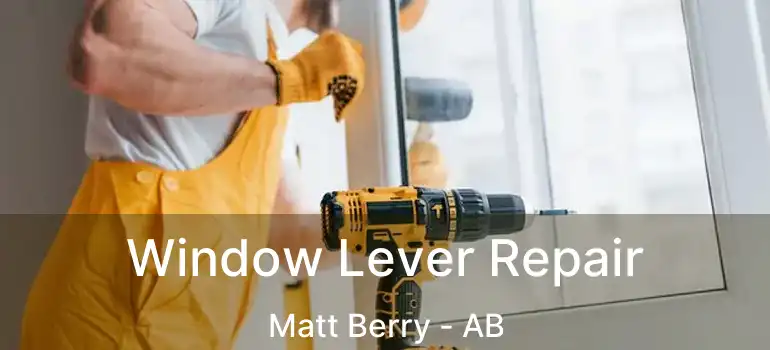  Window Lever Repair Matt Berry - AB