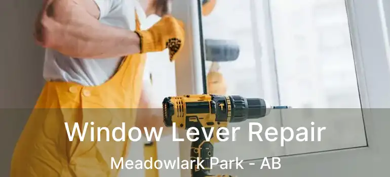  Window Lever Repair Meadowlark Park - AB