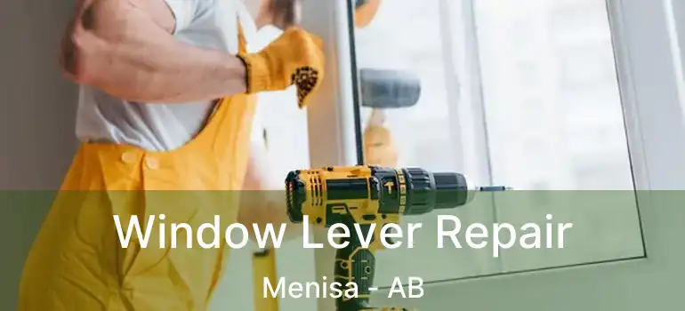  Window Lever Repair Menisa - AB