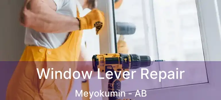  Window Lever Repair Meyokumin - AB