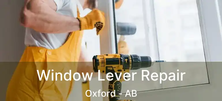  Window Lever Repair Oxford - AB