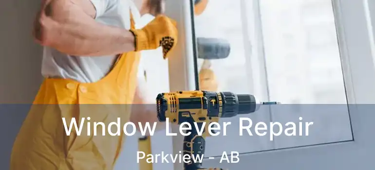  Window Lever Repair Parkview - AB
