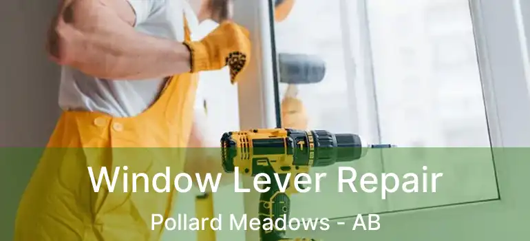  Window Lever Repair Pollard Meadows - AB