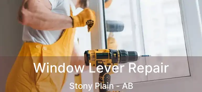  Window Lever Repair Stony Plain - AB