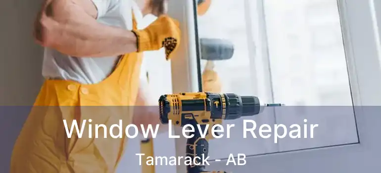  Window Lever Repair Tamarack - AB