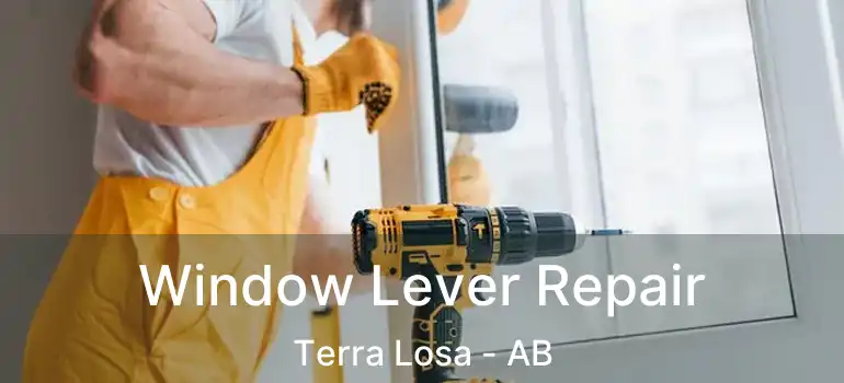 Window Lever Repair Terra Losa - AB