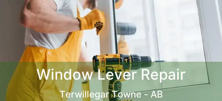  Window Lever Repair Terwillegar Towne - AB