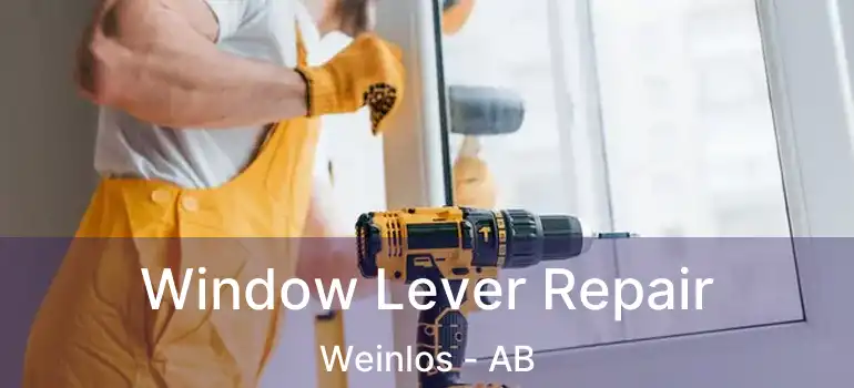  Window Lever Repair Weinlos - AB