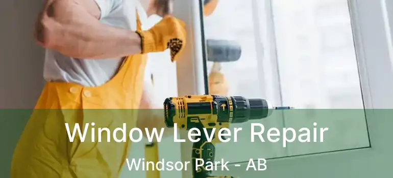  Window Lever Repair Windsor Park - AB