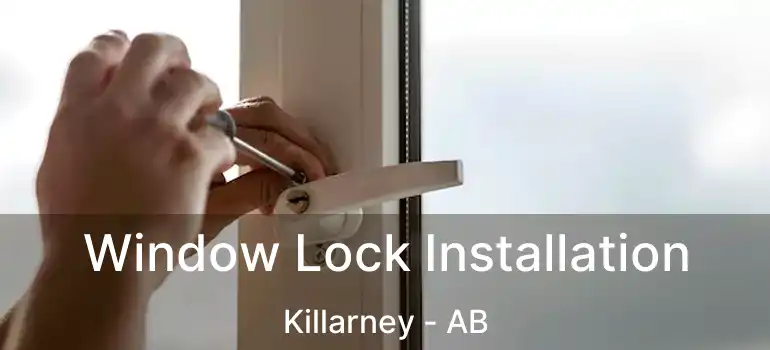  Window Lock Installation Killarney - AB