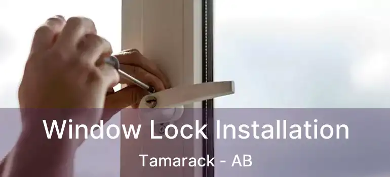  Window Lock Installation Tamarack - AB