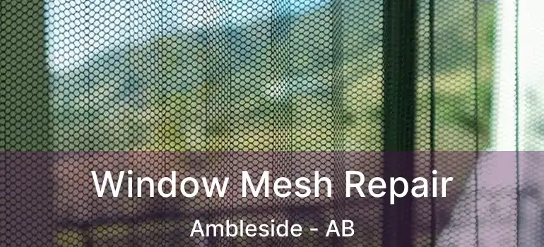  Window Mesh Repair Ambleside - AB