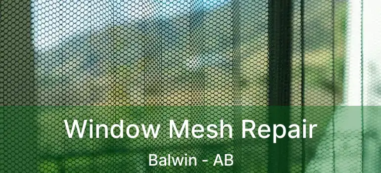  Window Mesh Repair Balwin - AB
