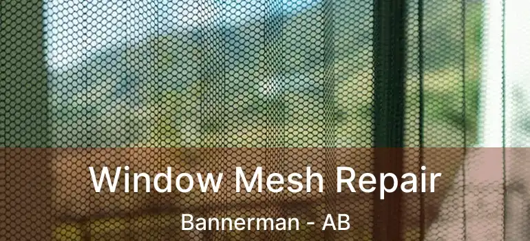  Window Mesh Repair Bannerman - AB
