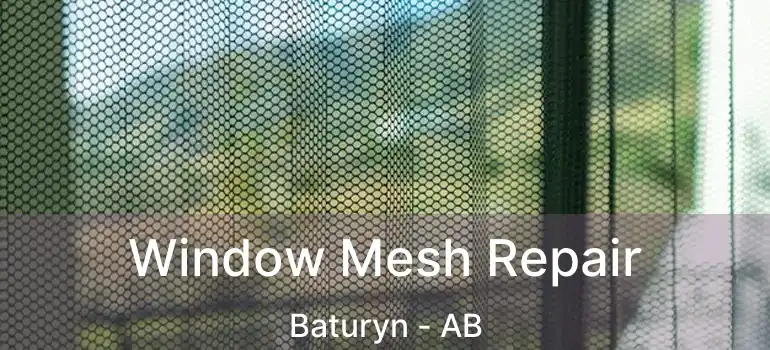  Window Mesh Repair Baturyn - AB