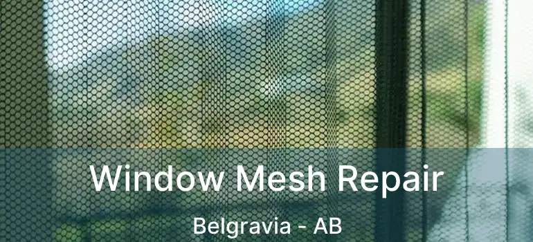  Window Mesh Repair Belgravia - AB