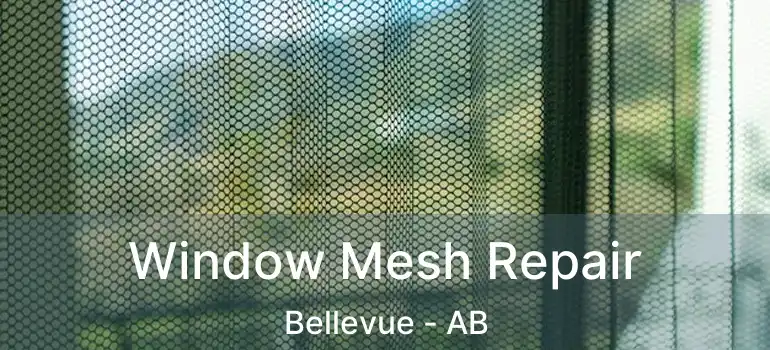  Window Mesh Repair Bellevue - AB
