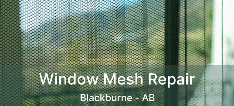  Window Mesh Repair Blackburne - AB