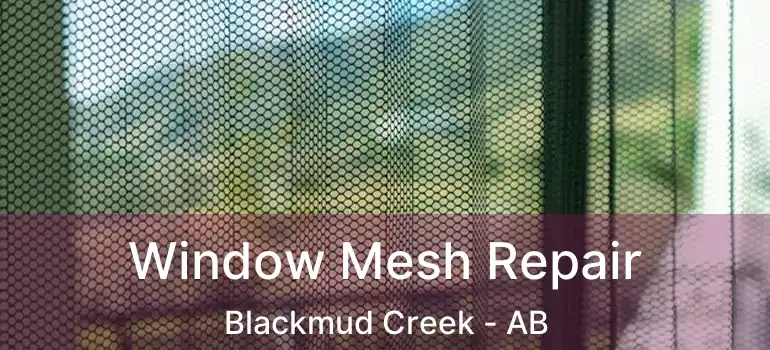  Window Mesh Repair Blackmud Creek - AB