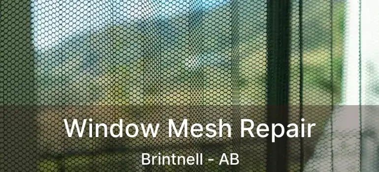  Window Mesh Repair Brintnell - AB