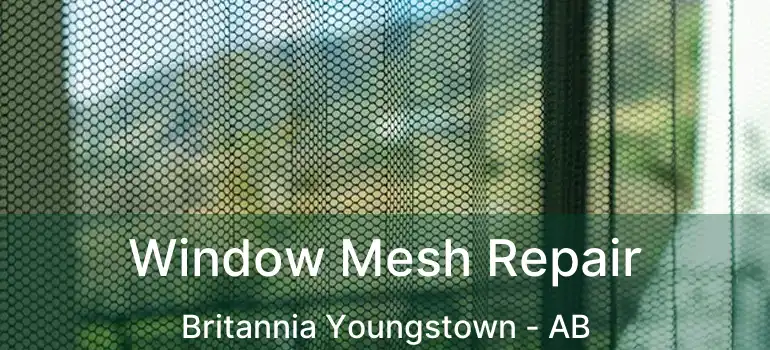  Window Mesh Repair Britannia Youngstown - AB