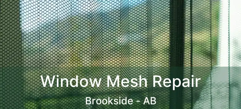  Window Mesh Repair Brookside - AB