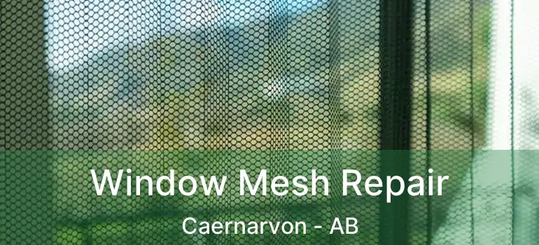  Window Mesh Repair Caernarvon - AB