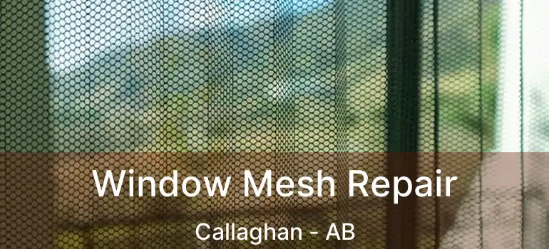  Window Mesh Repair Callaghan - AB