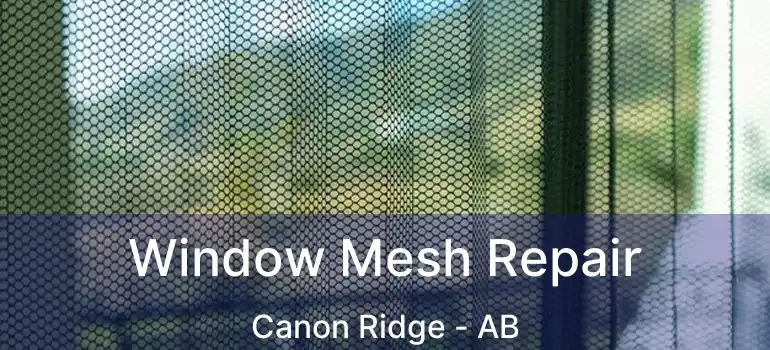  Window Mesh Repair Canon Ridge - AB