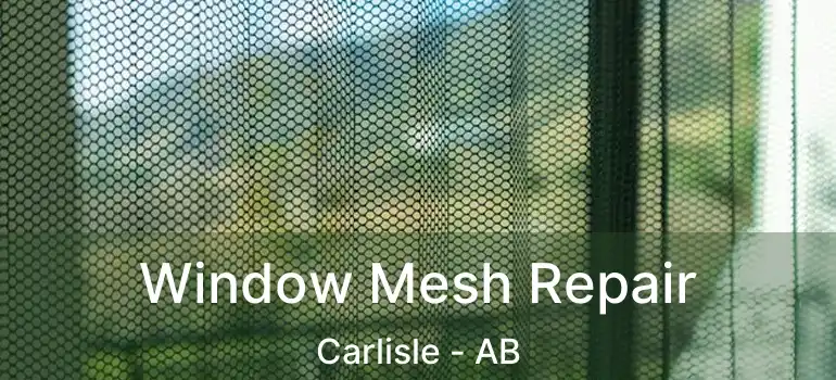  Window Mesh Repair Carlisle - AB