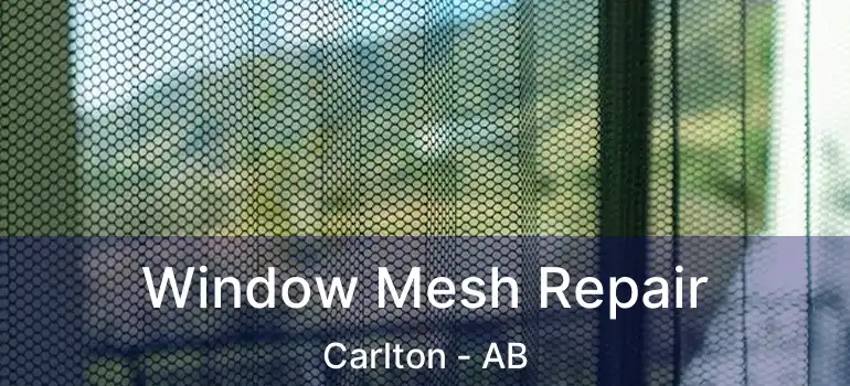  Window Mesh Repair Carlton - AB