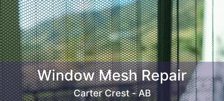  Window Mesh Repair Carter Crest - AB
