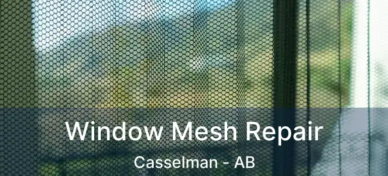 Window Mesh Repair Casselman - AB
