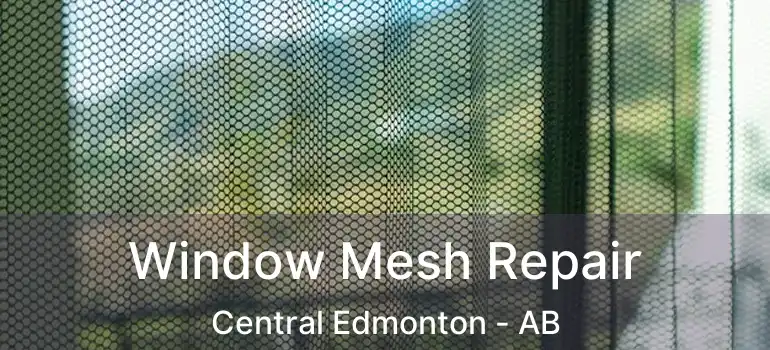  Window Mesh Repair Central Edmonton - AB